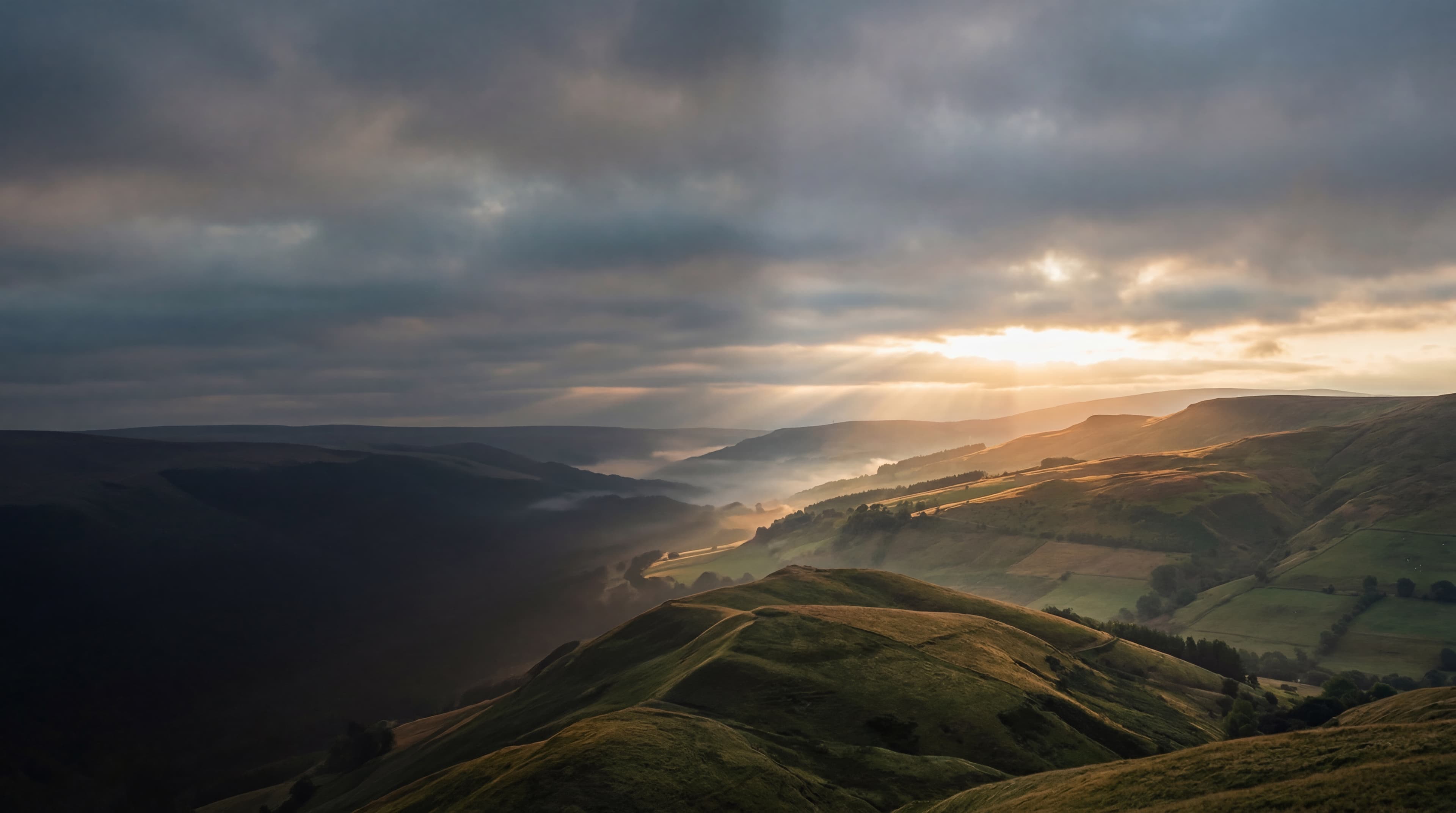 Desktop compare-room concept for Belong.