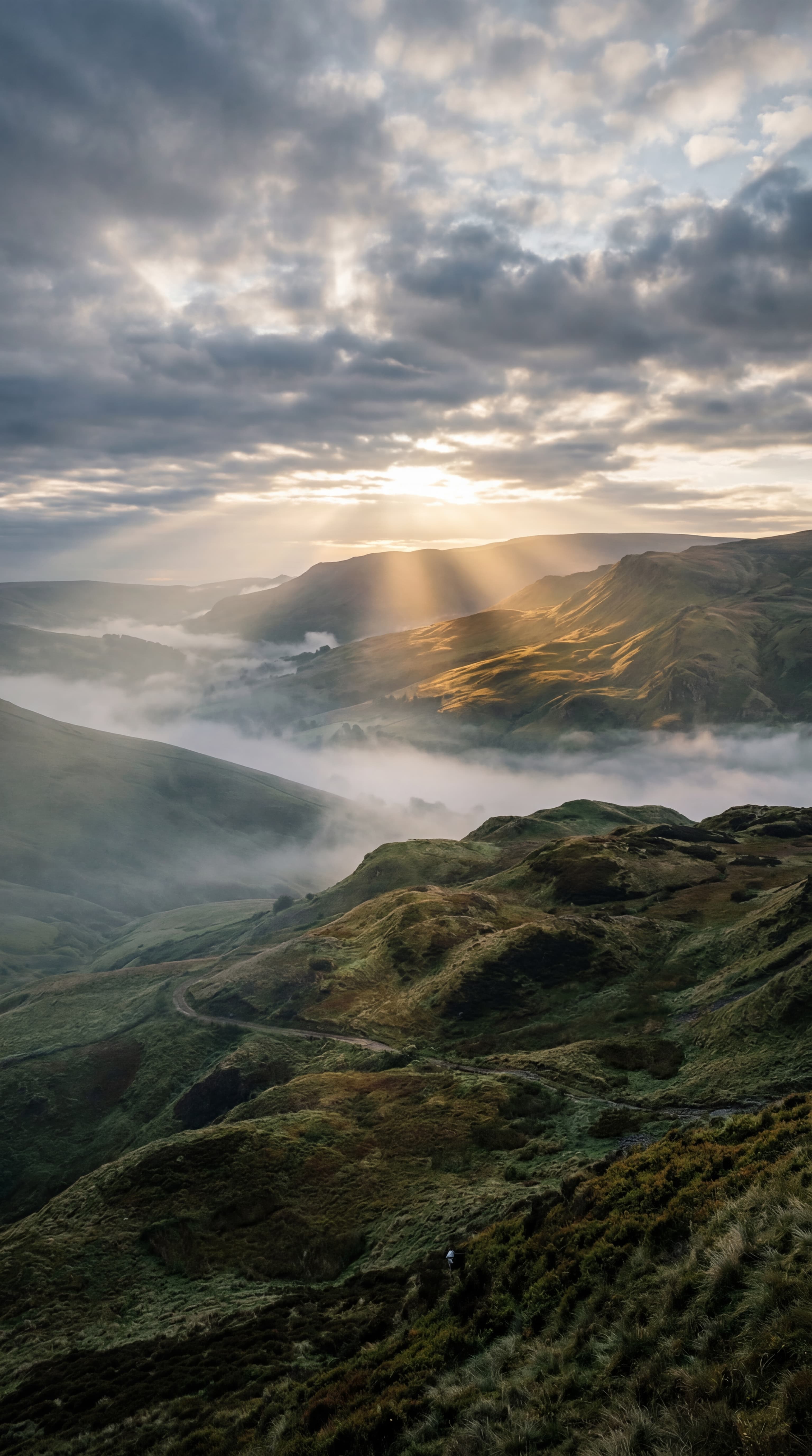 Mobile compare-room concept for Belong.