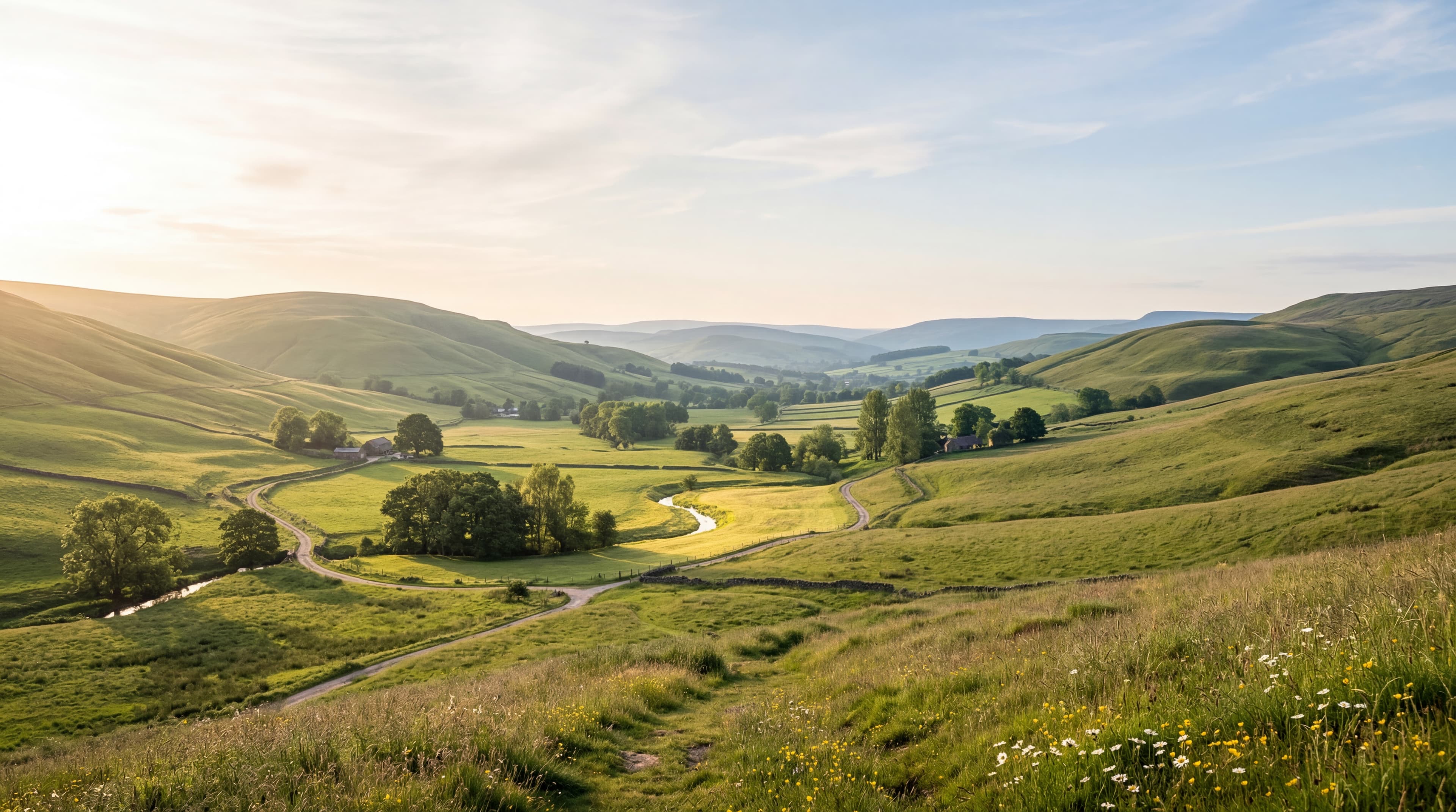 Desktop practice concept for Belong.