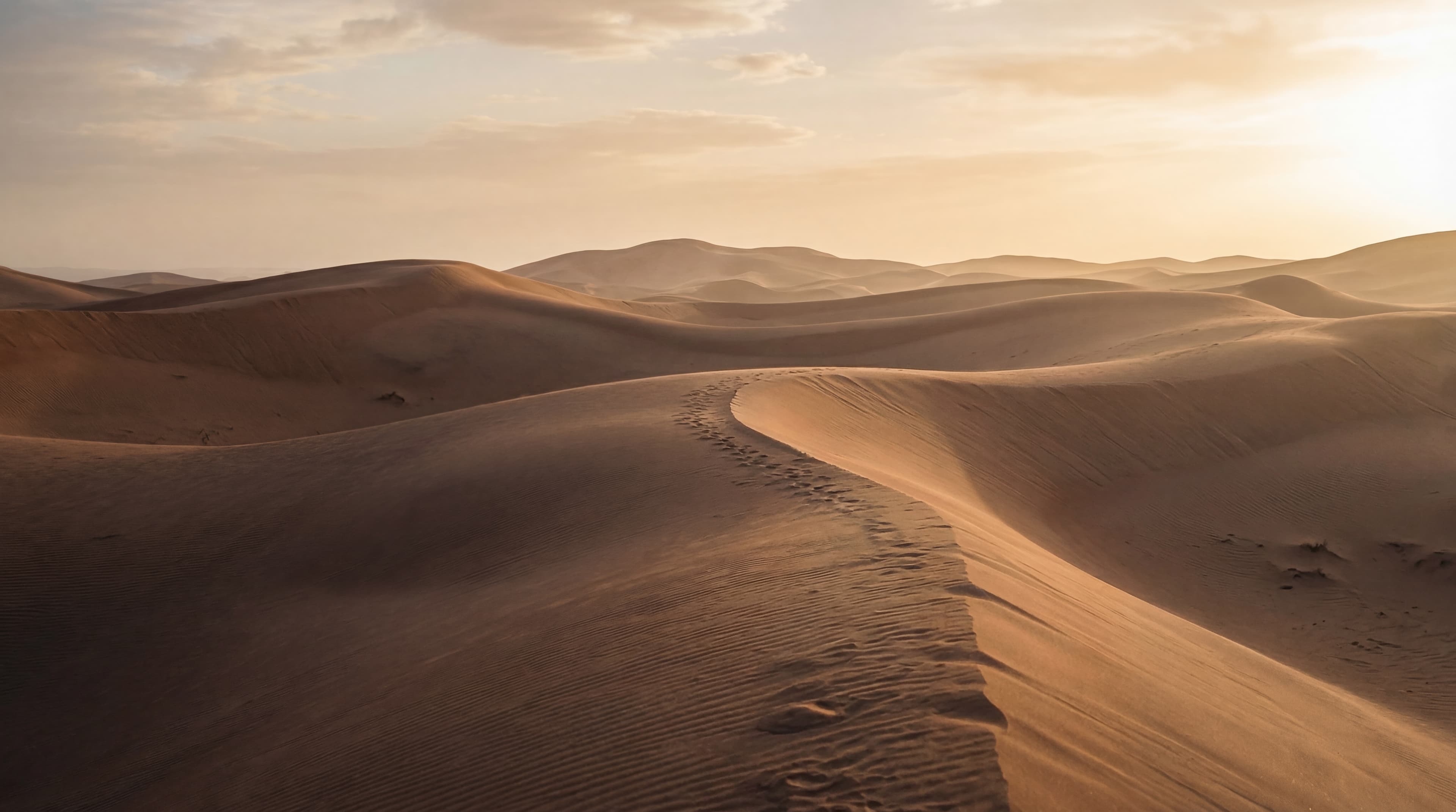 Desktop seasonal campaign concept for Belong.