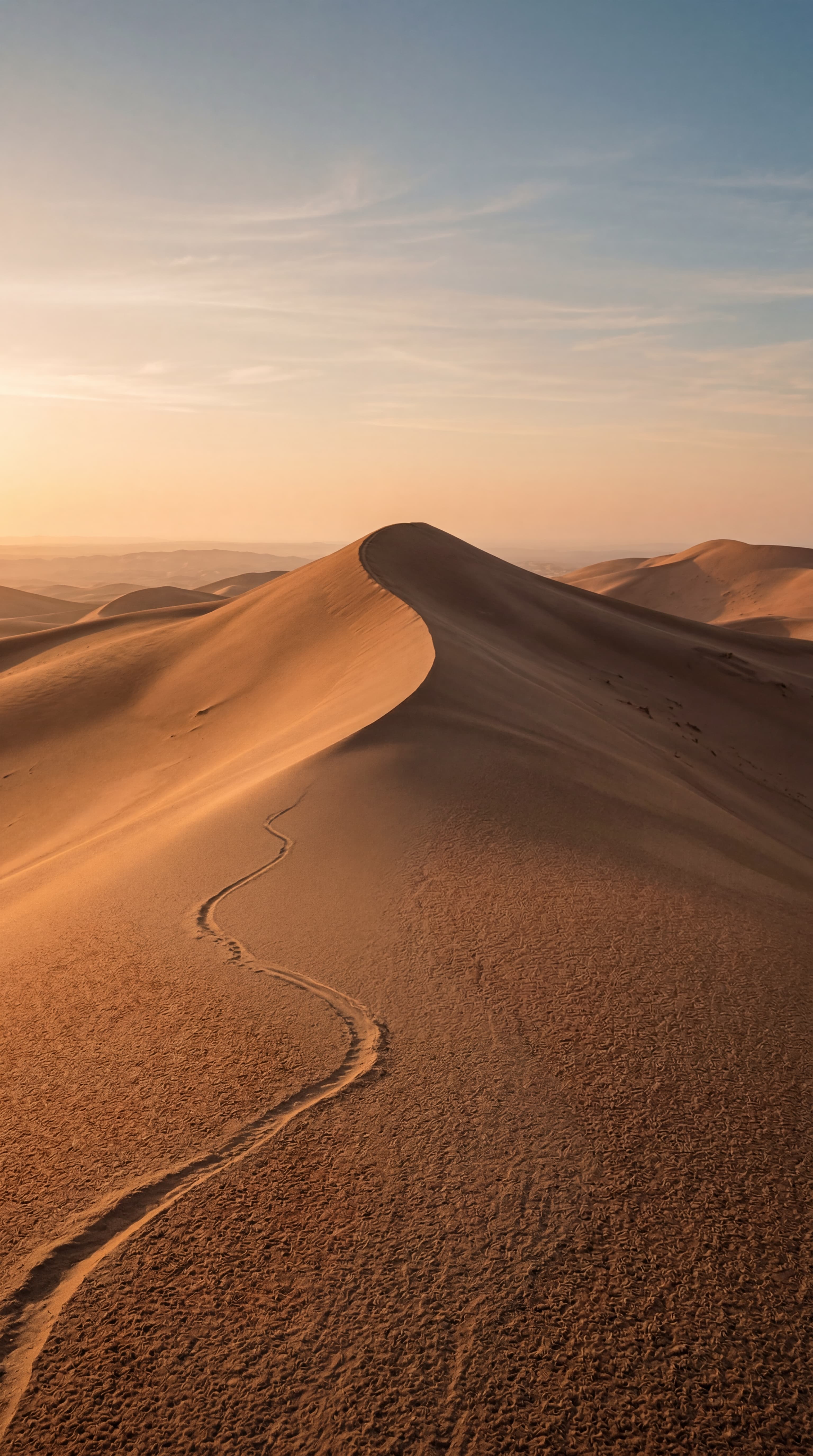 Mobile seasonal campaign concept for Belong.