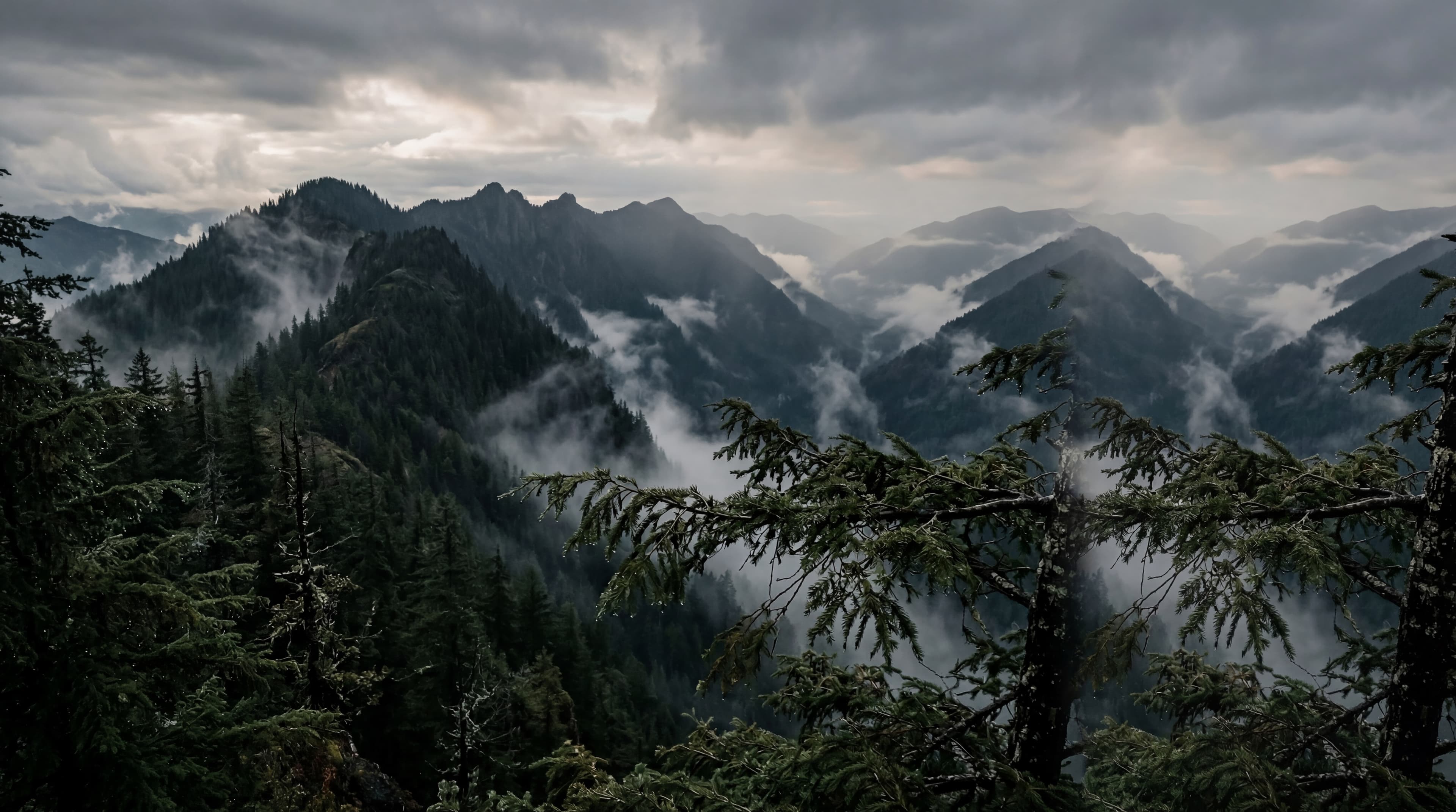 Desktop story concept for the Belong marketing site.