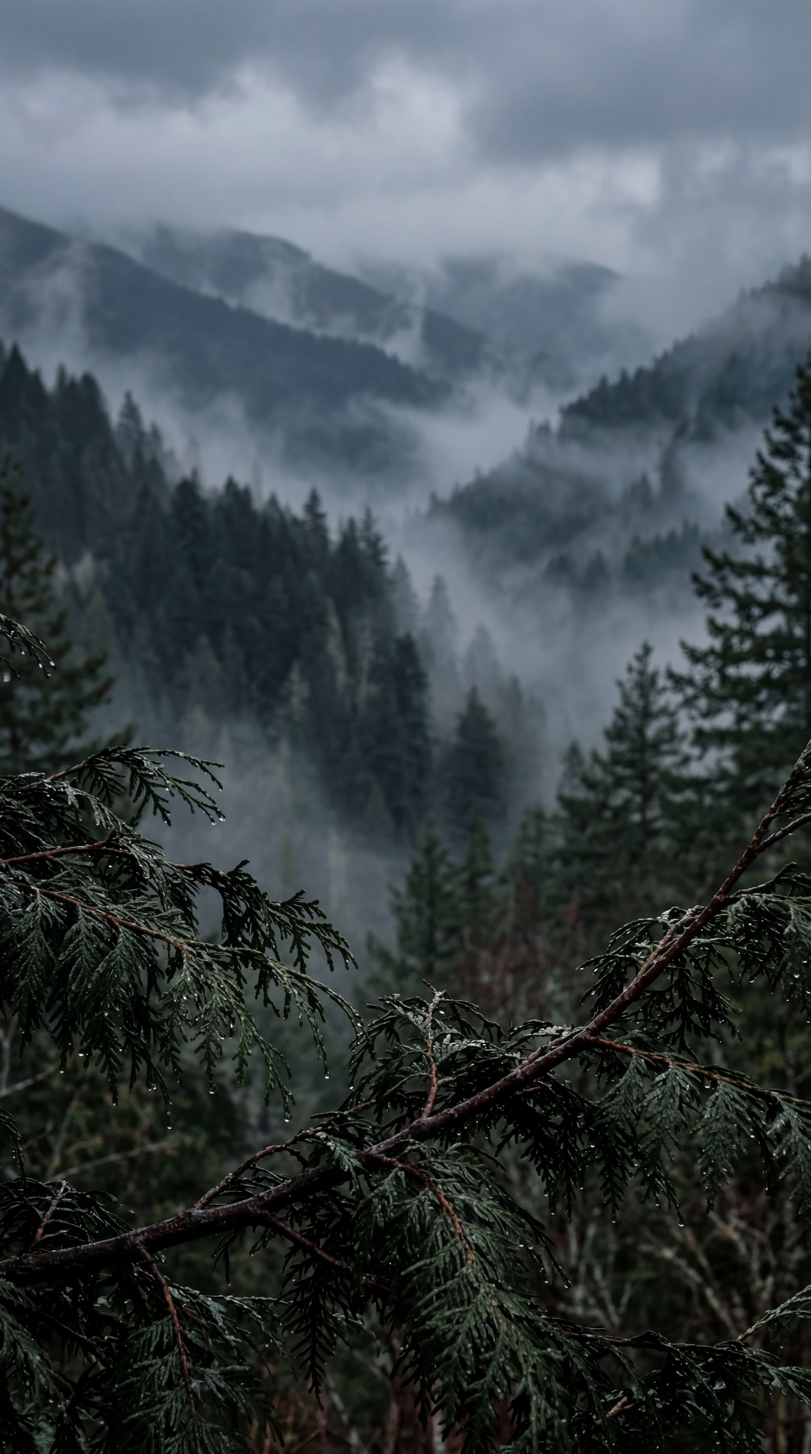 Mobile story concept for the Belong marketing site.